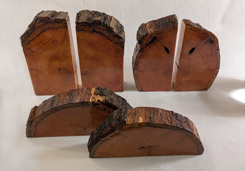 Ancient Earth Bookends