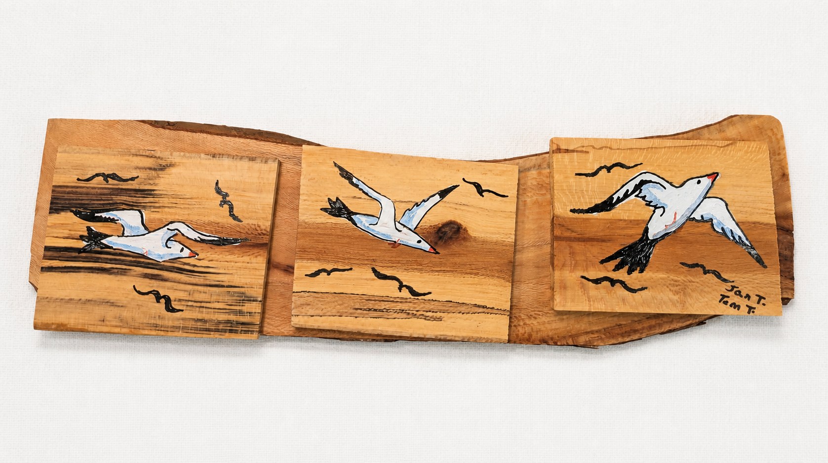 Seagulls Triptych
