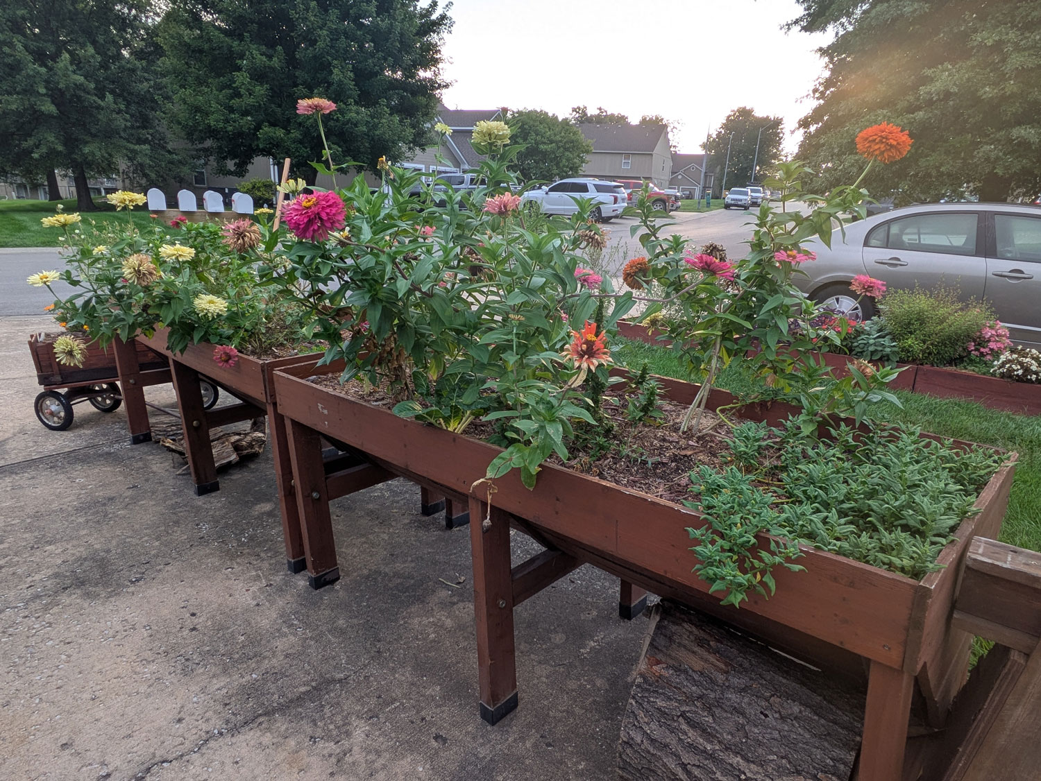 Raised Garden Beds