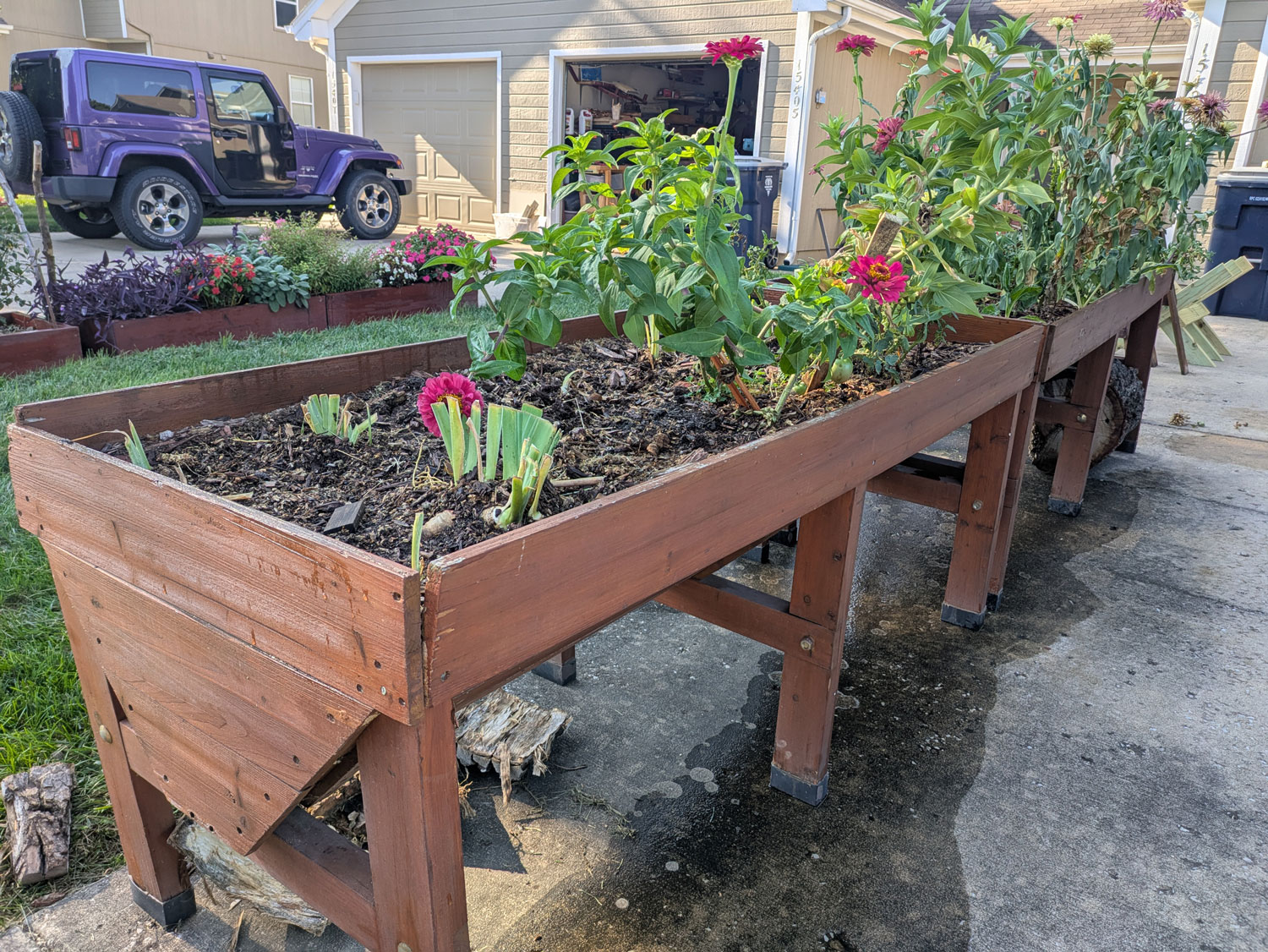 View 2 of Raised Garden Beds