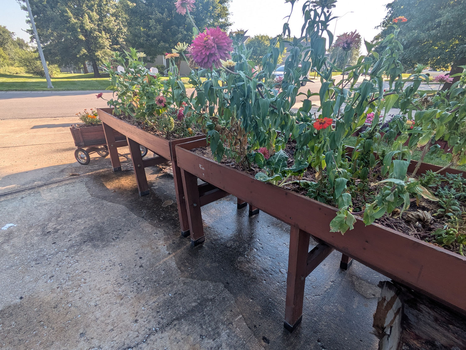 View 3 of Raised Garden Beds