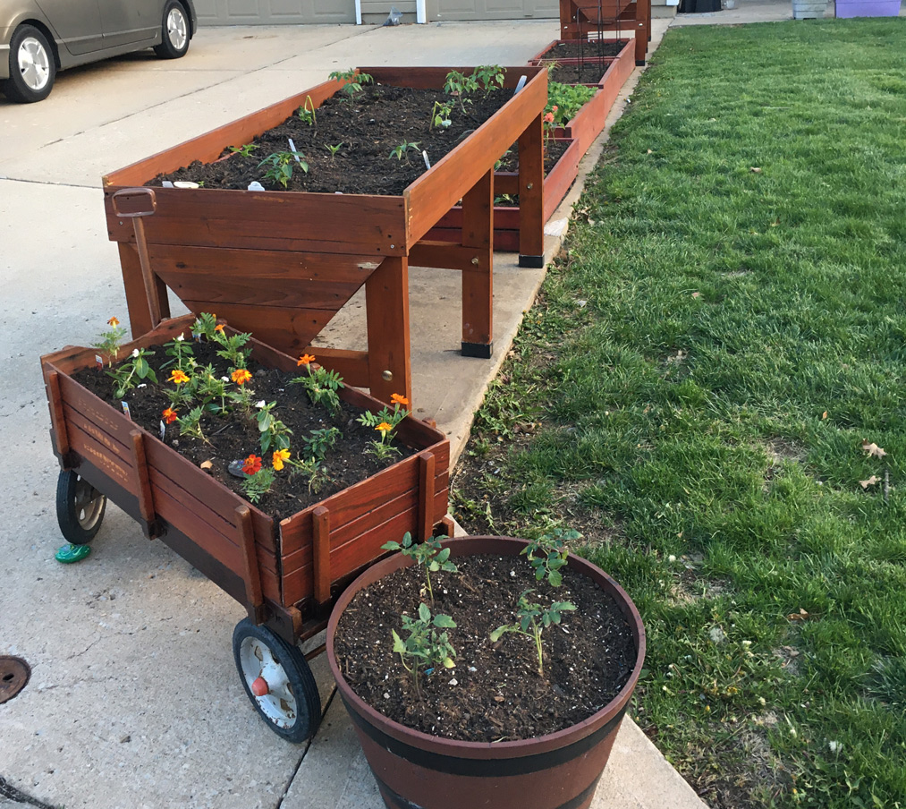 View 4 of Raised Garden Beds