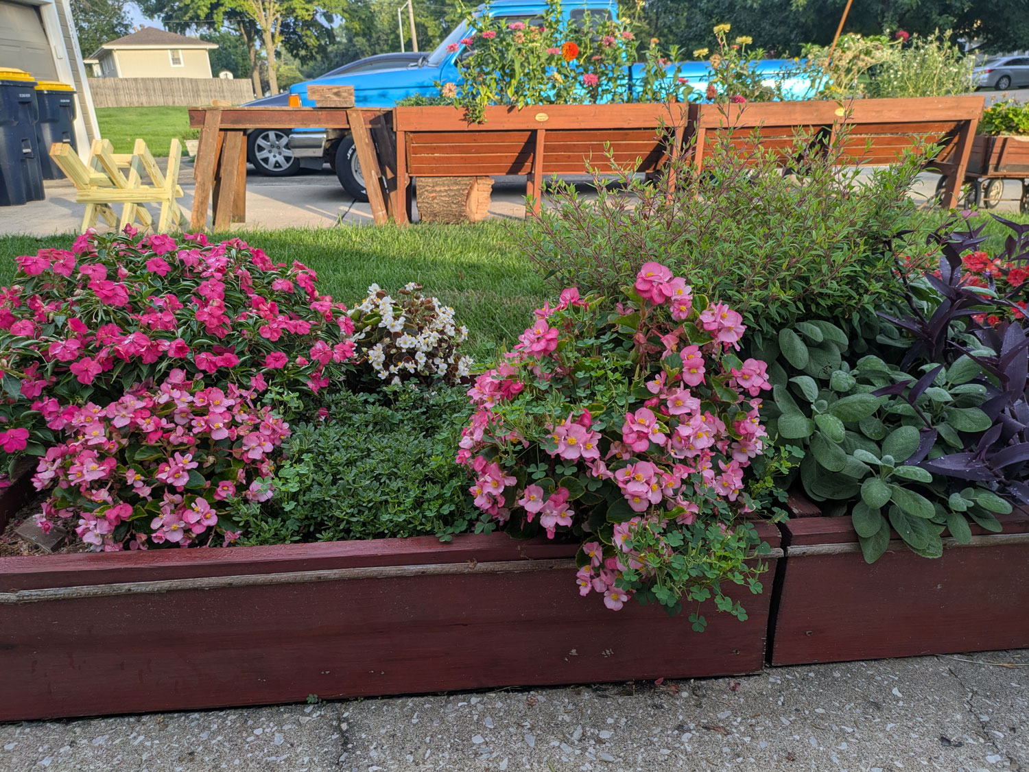 Low Garden Beds