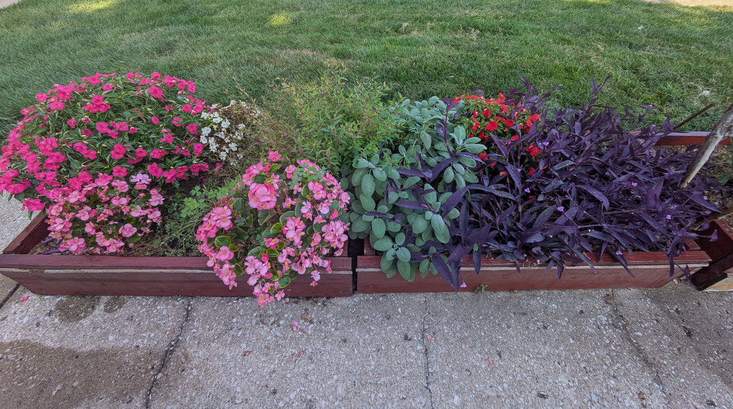 View 2 of Low Garden Beds