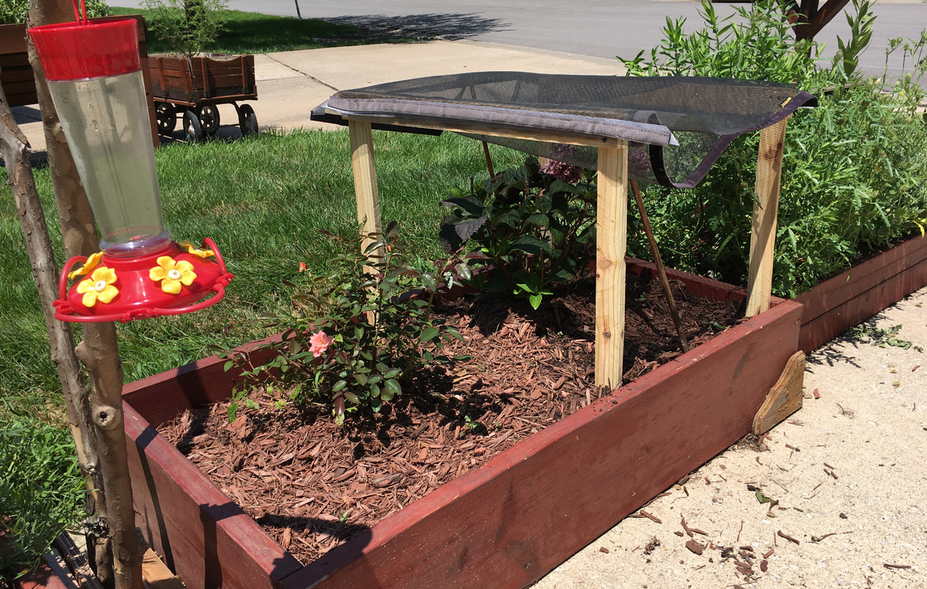 View 3 of Low Garden Beds