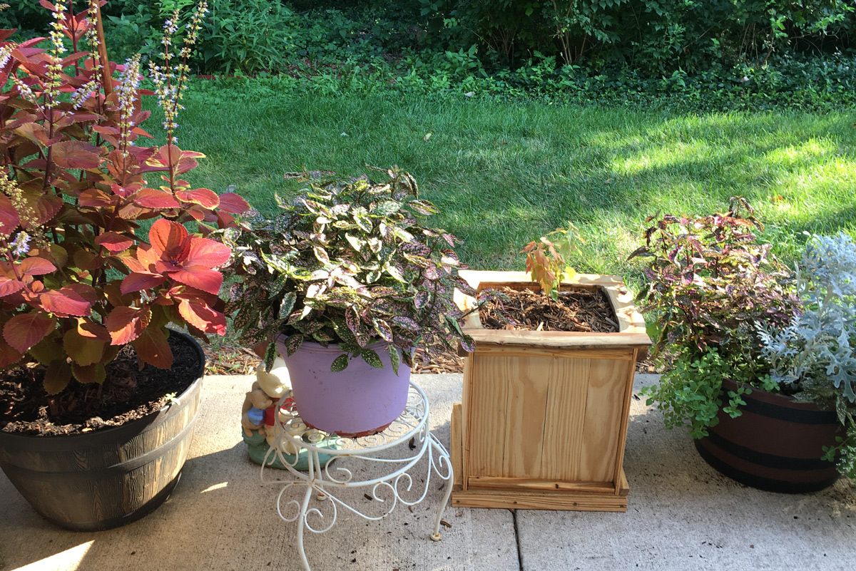 View 2 of Garden Planter