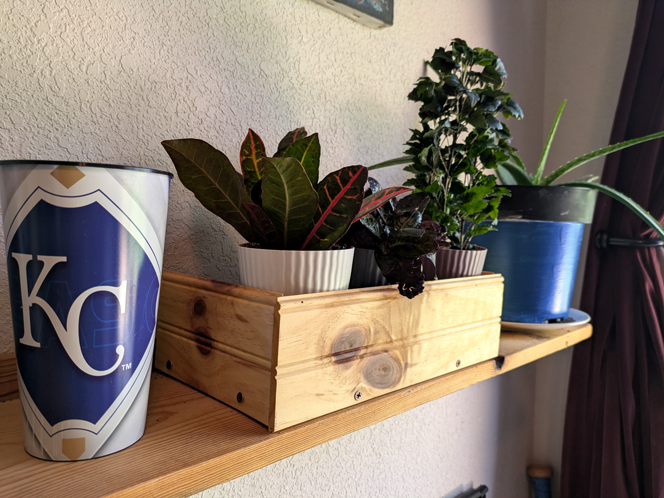 Plant Shelf & Spice Rack